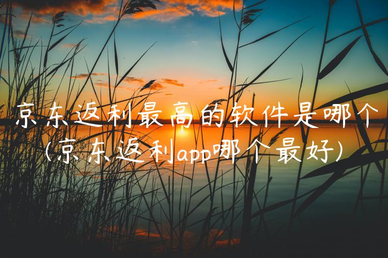 京东返利最高的软件是哪个(京东返利app哪个最好)