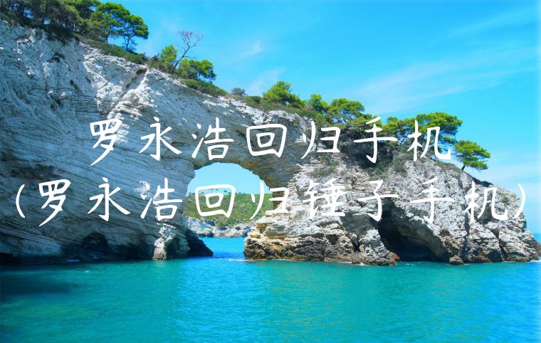 罗永浩回归手机(罗永浩回归锤子手机)