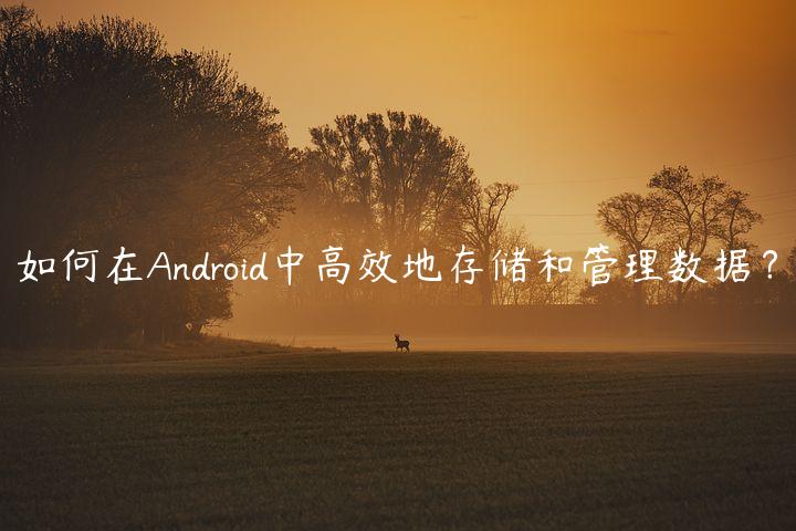 如何在Android中高效地存储和管理数据？