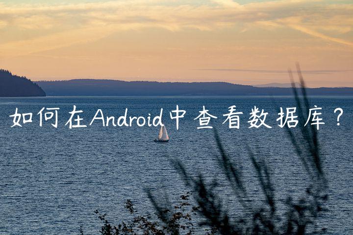 如何在Android中查看数据库？