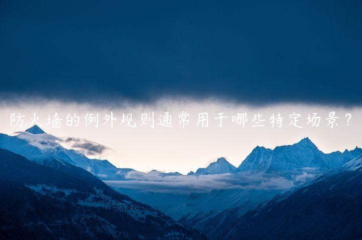 防火墙的例外规则通常用于哪些特定场景？