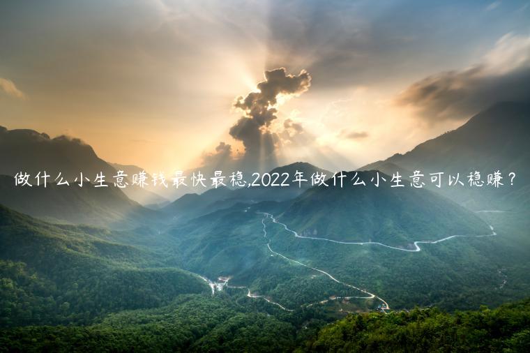 做什么小生意赚钱最快最稳,2022年做什么小生意可以稳赚？