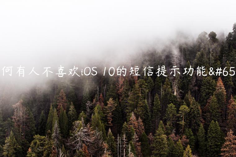 为何有人不喜欢iOS 10的短信提示功能？