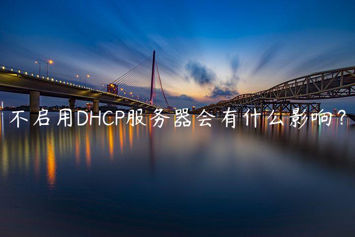 不启用DHCP服务器会有什么影响？