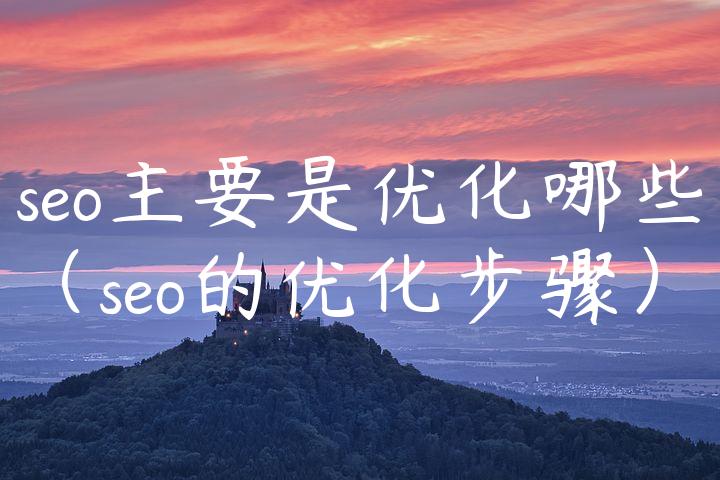 seo主要是优化哪些（seo的优化步骤）