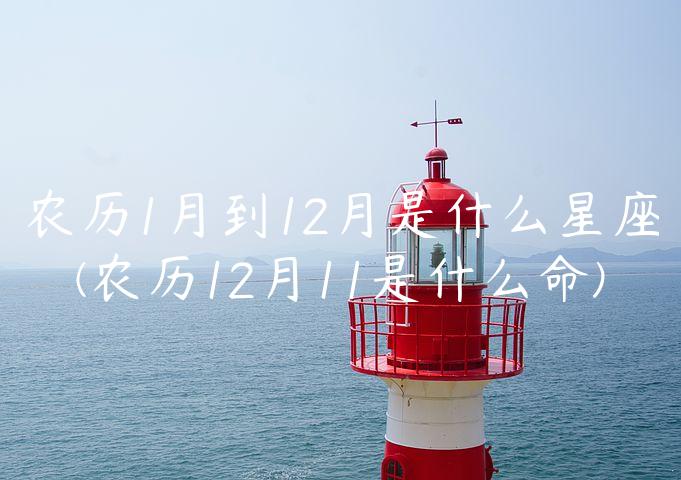 农历1月到12月是什么星座(农历12月11是什么命)