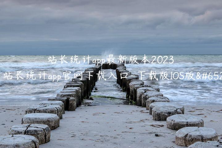 站长统计app最新版本2023（站长统计app官网下载入口-下载版IOS版）