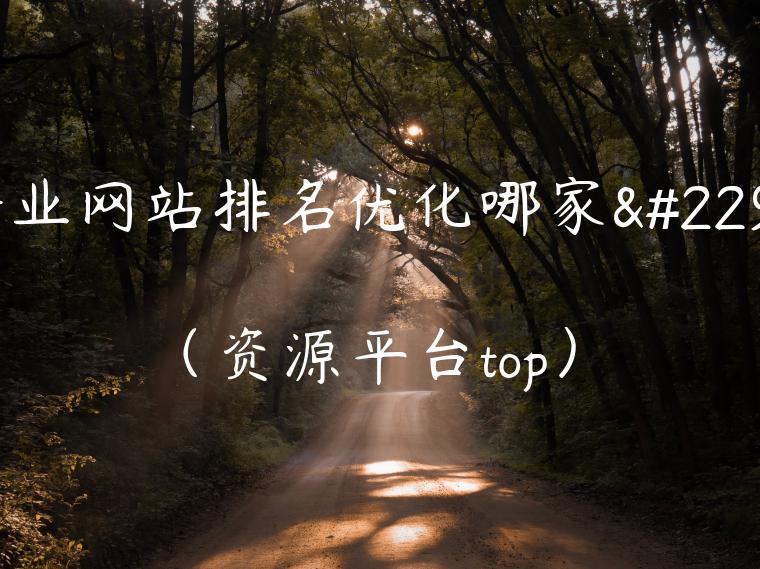 企业网站排名优化哪家好（资源平台top）