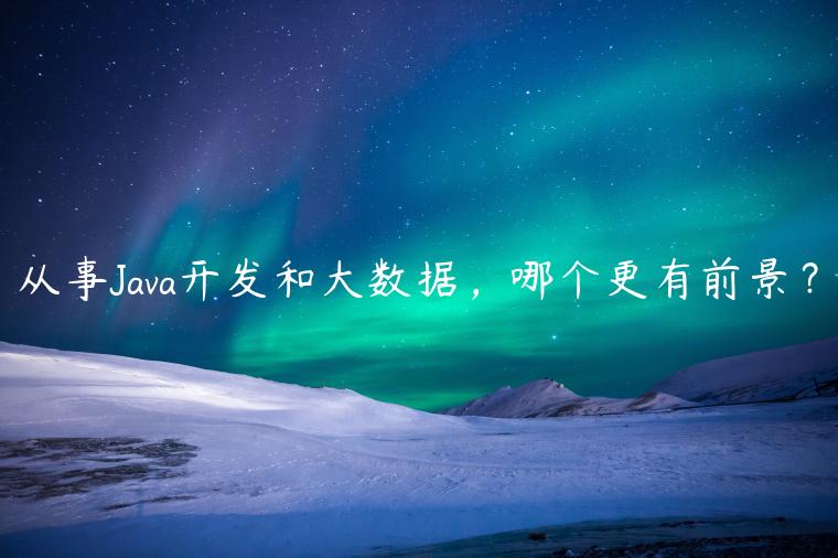 从事Java开发和大数据，哪个更有前景？