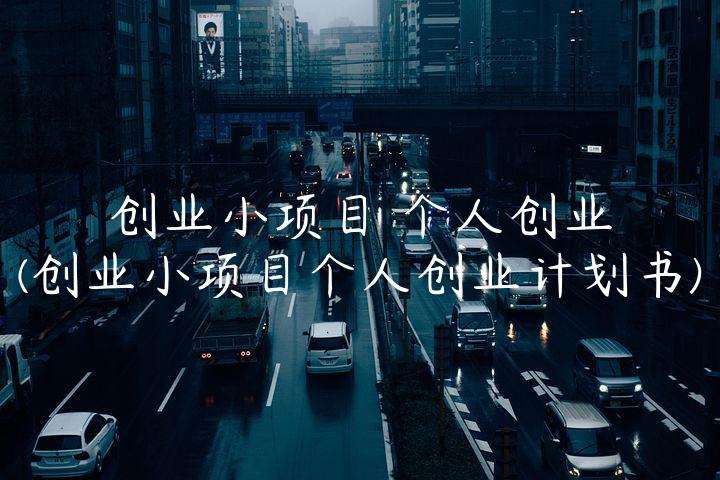 创业小项目 个人创业(创业小项目个人创业计划书)