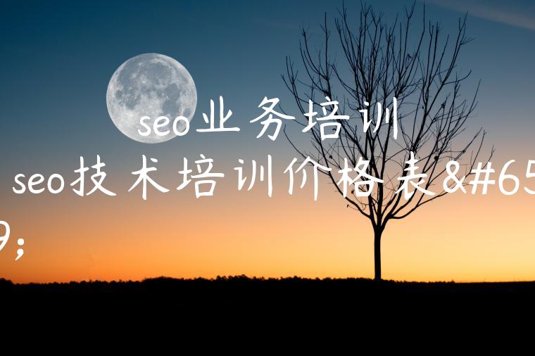 seo业务培训（seo技术培训价格表）