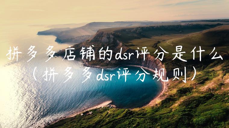 拼多多店铺的dsr评分是什么（拼多多dsr评分规则）