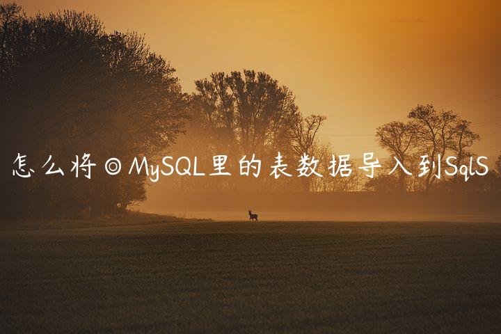 怎么将◎MySQL里的表数据导入到SqlS