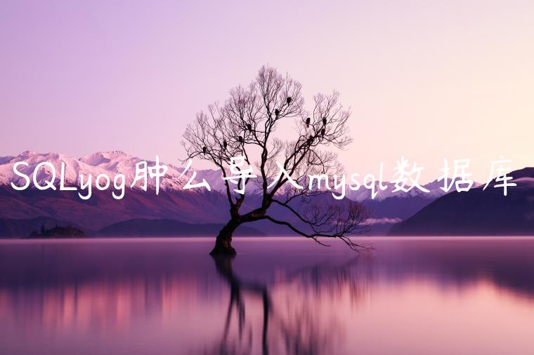 SQLyog肿么导入mysql数据库♚