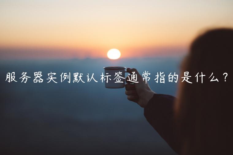 服务器实例默认标签通常指的是什么？