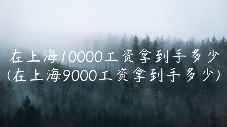 在上海10000工资拿到手多少(在上海9000工资拿到手多少)