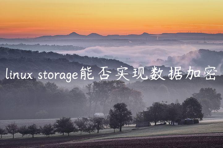 linux storage能否实现数据加密