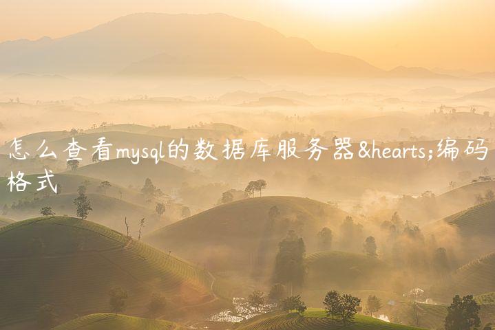 怎么查看mysql的数据库服务器♥编码格式