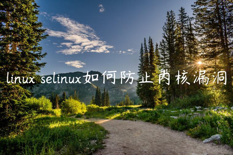 linux selinux如何防止内核漏洞