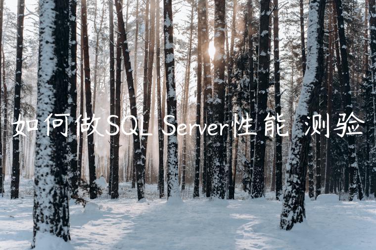 如何做SQL Server性能✍测验