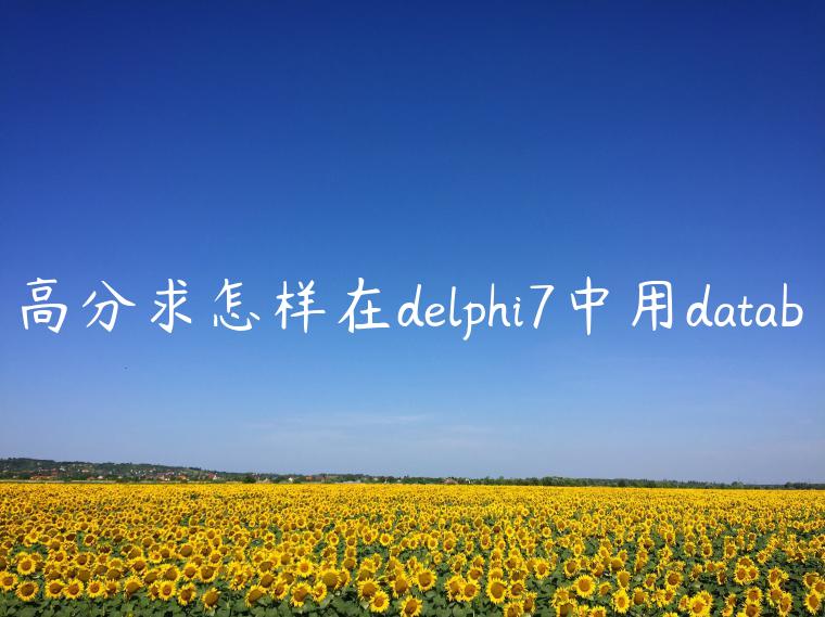 高分求怎样在delphi7中用datab