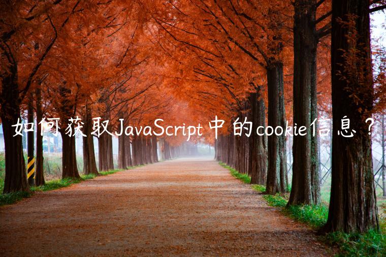 如何获取JavaScript中的cookie信息？