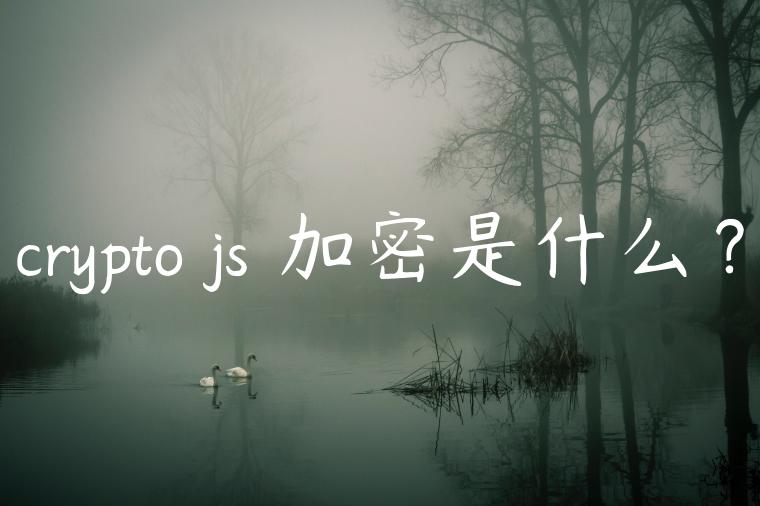 crypto js 加密是什么？