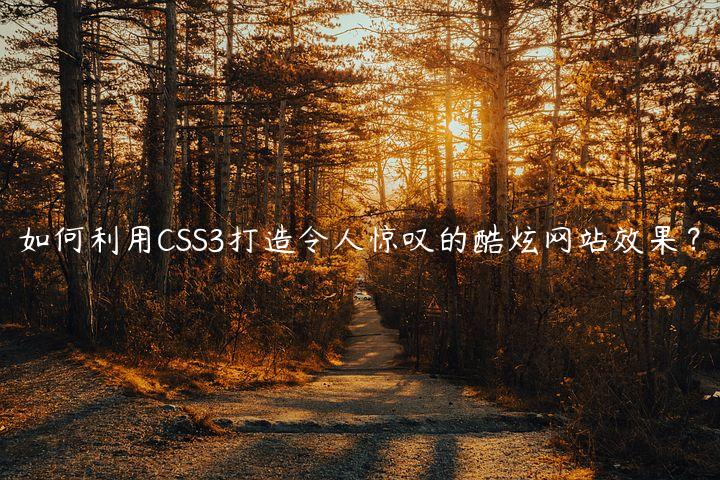 如何利用CSS3打造令人惊叹的酷炫网站效果？