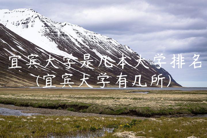 宜宾大学是几本大学排名(宜宾大学有几所)