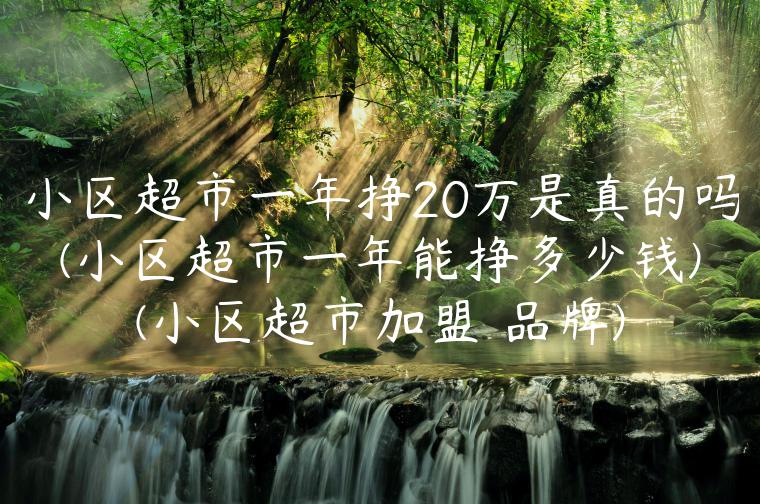 小区超市一年挣20万是真的吗(小区超市一年能挣多少钱)(小区超市加盟 品牌)