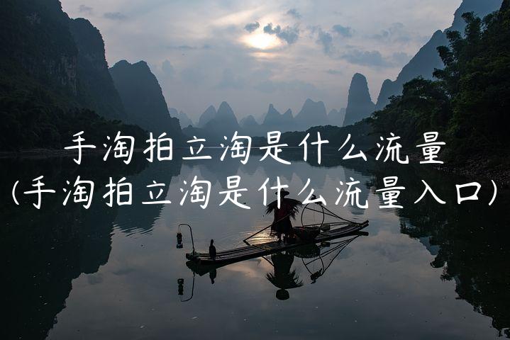 手淘拍立淘是什么流量(手淘拍立淘是什么流量入口)