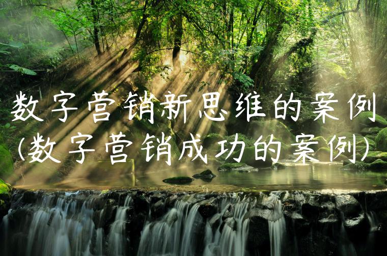 数字营销新思维的案例(数字营销成功的案例)