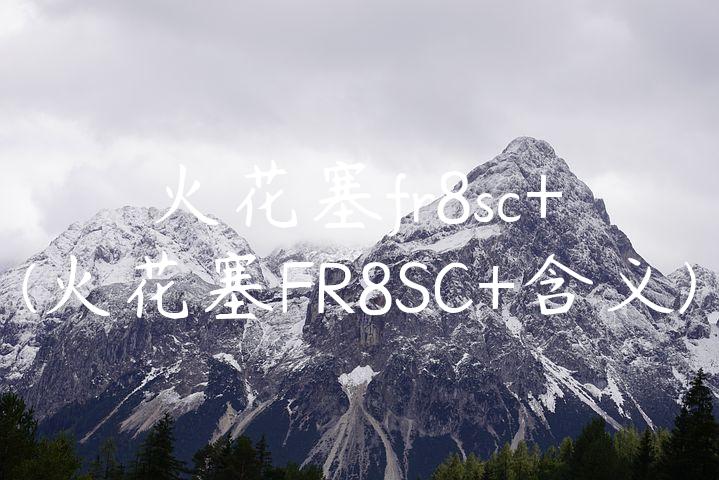 火花塞fr8sc+(火花塞FR8SC+含义)