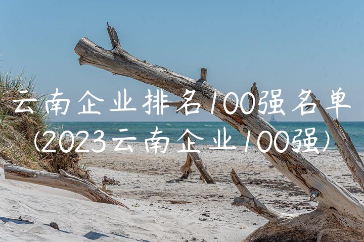 云南企业排名100强名单(2023云南企业100强)