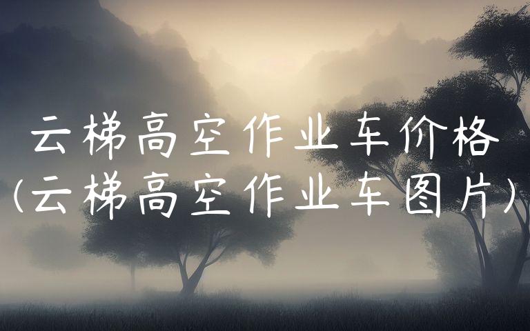 云梯高空作业车价格(云梯高空作业车图片)