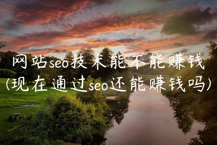 网站seo技术能不能赚钱(现在通过seo还能赚钱吗)