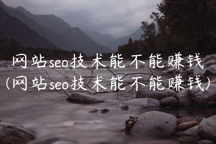 网站seo技术能不能赚钱(网站seo技术能不能赚钱)