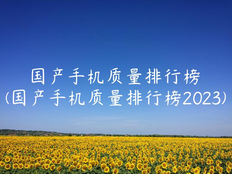 国产手机质量排行榜(国产手机质量排行榜2023)