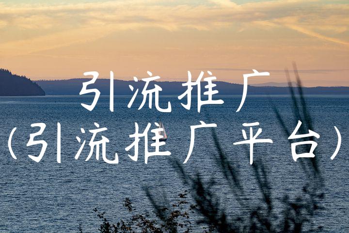 引流推广(引流推广平台)