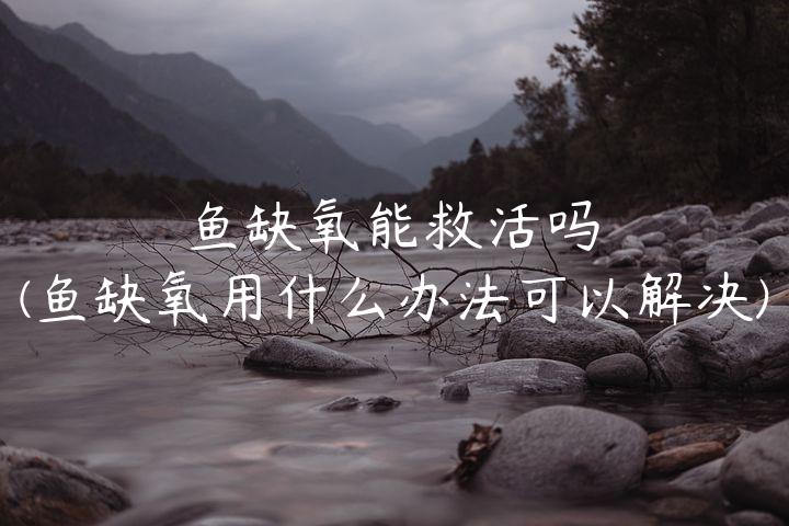 鱼缺氧能救活吗(鱼缺氧用什么办法可以解决)