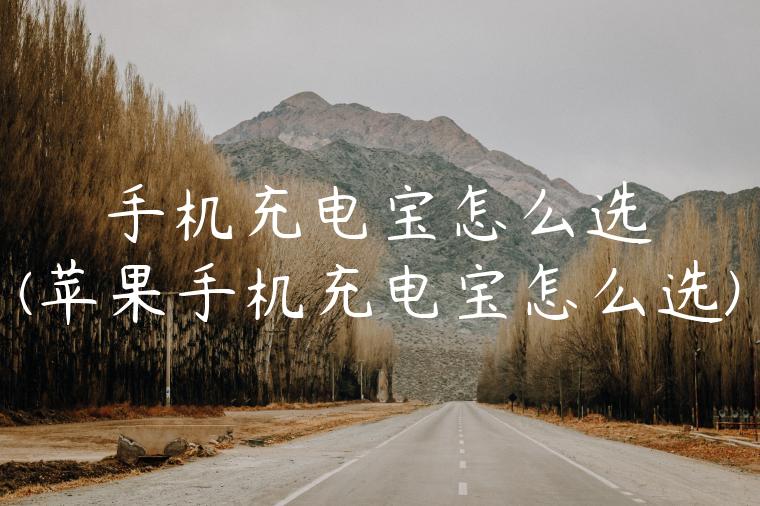 手机充电宝怎么选(苹果手机充电宝怎么选)