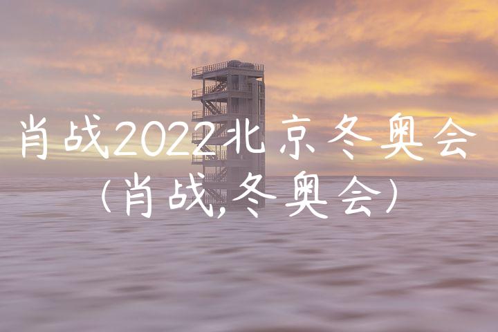 肖战2022北京冬奥会(肖战,冬奥会)