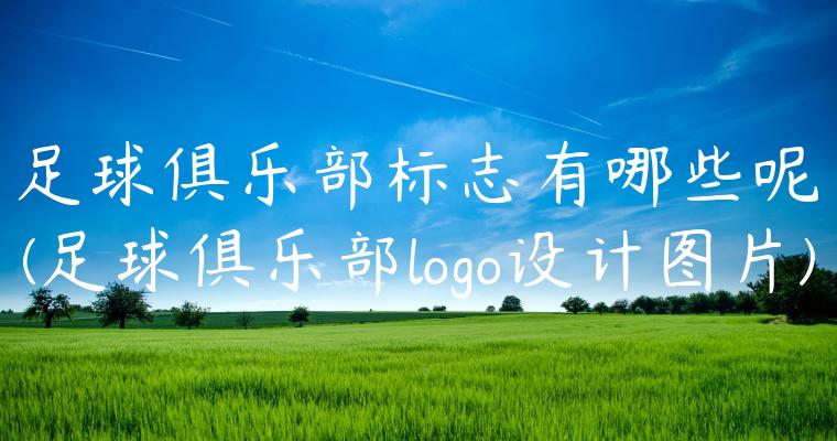 足球俱乐部标志有哪些呢(足球俱乐部logo设计图片)