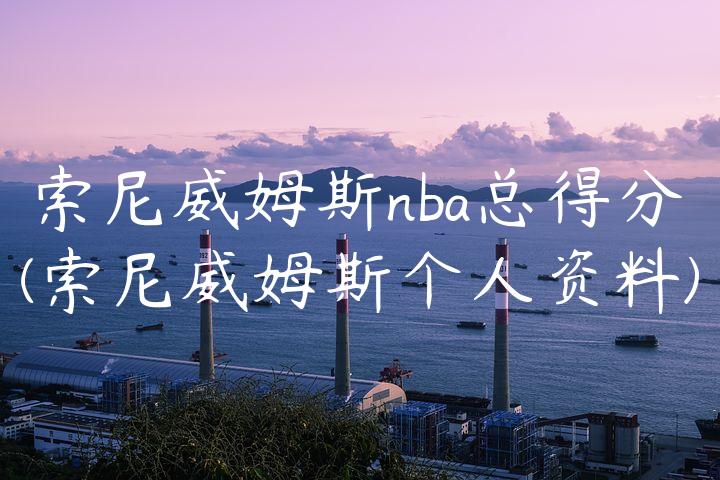 索尼威姆斯nba总得分(索尼威姆斯个人资料)