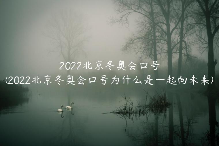 2022北京冬奥会口号(2022北京冬奥会口号为什么是一起向未来)