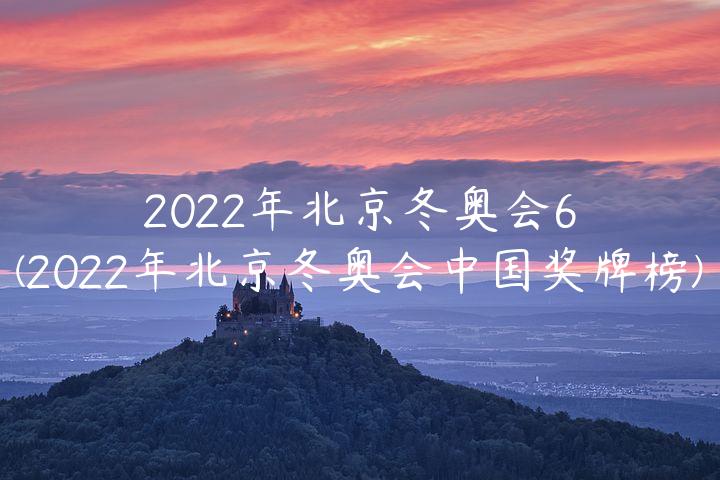 2022年北京冬奥会6(2022年北京冬奥会中国奖牌榜)