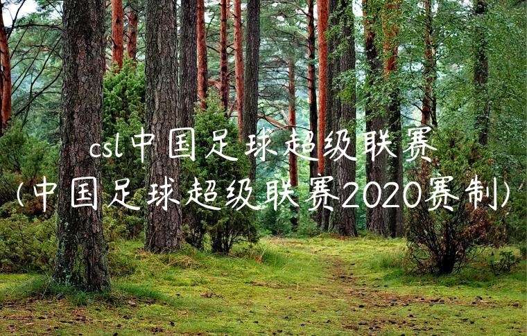 csl中国足球超级联赛(中国足球超级联赛2020赛制)