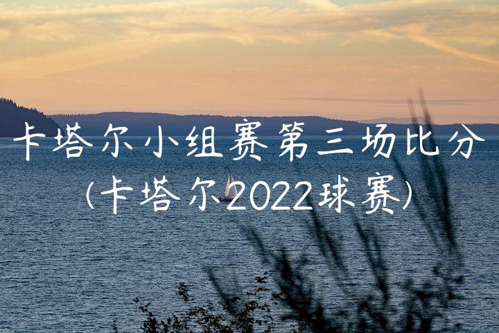 卡塔尔小组赛第三场比分(卡塔尔2022球赛)