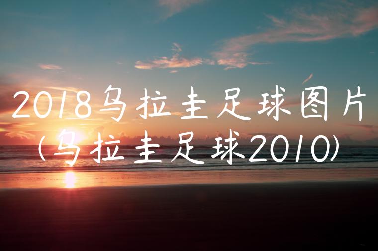 2018乌拉圭足球图片(乌拉圭足球2010)