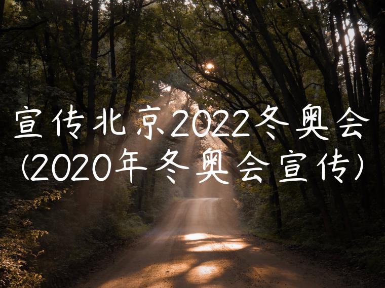 宣传北京2022冬奥会(2020年冬奥会宣传)